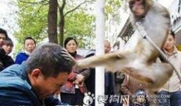 恐怖新闻爆料,恐怖新闻背后惊心动魄的真实事件